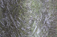 Ladybrook fibreglass roof work